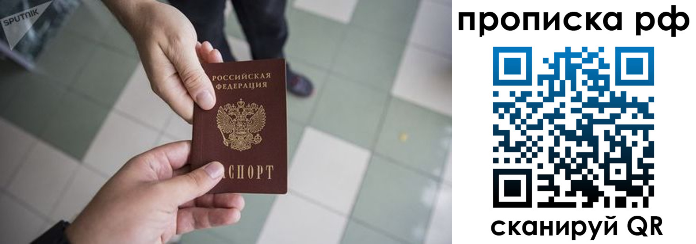 прописка гарантия в Мончегорске